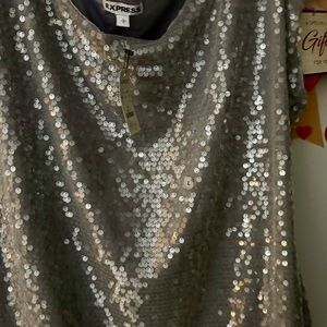 Express Shiny Gray Sequin Blouse